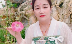 杀人不分左右ed2k